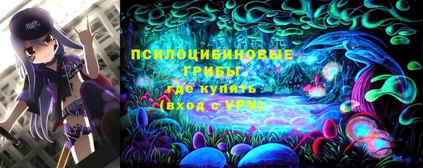 ешки Няндома