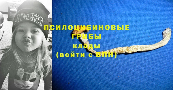 ешки Няндома